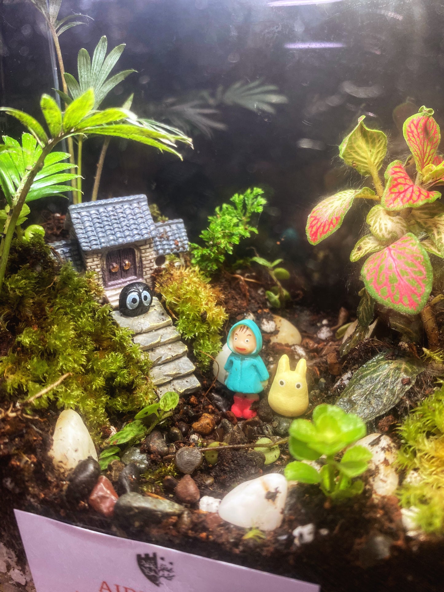 Bahay Kubo Totoro Terrarium with Soot Sprites with Lamp and Wooden Base