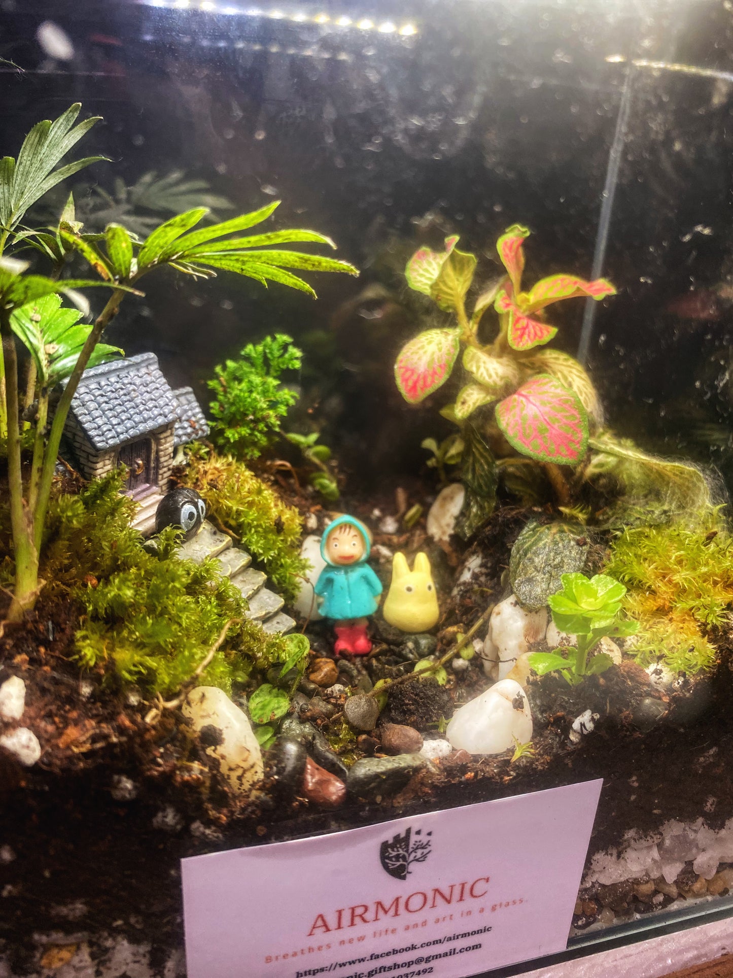 Bahay Kubo Totoro Terrarium with Soot Sprites with Lamp and Wooden Base