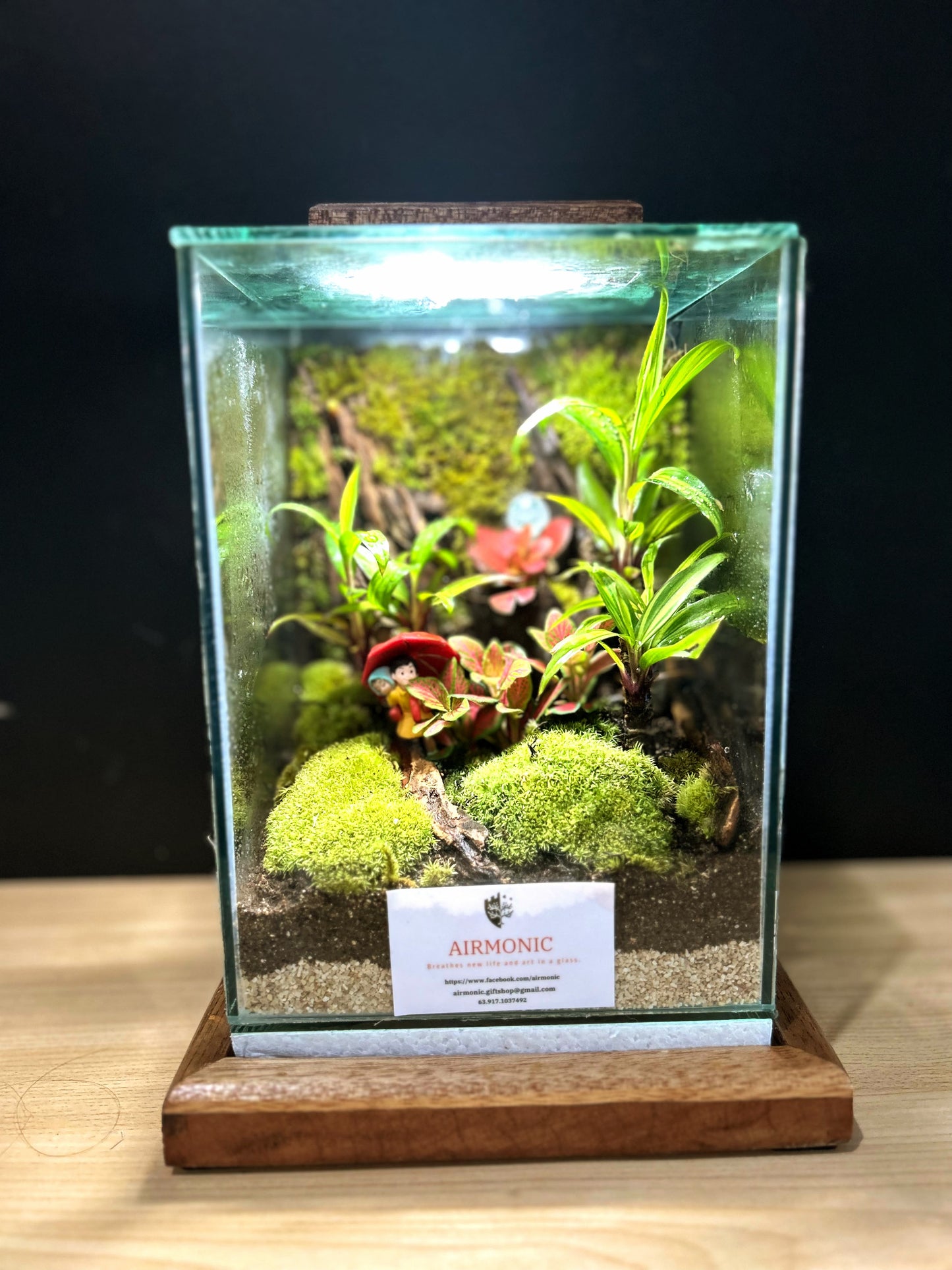 Marikit Terrarium: Sibling Love in a Miniature Forest