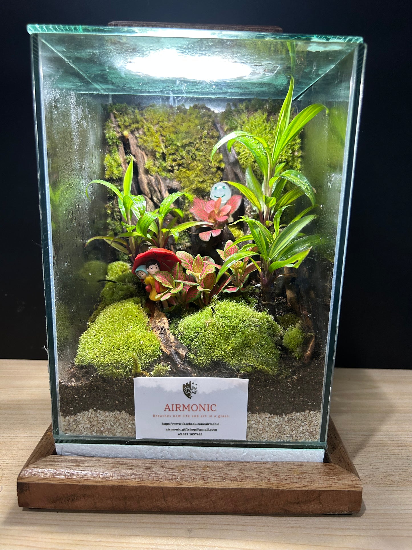 Marikit Terrarium: Sibling Love in a Miniature Forest