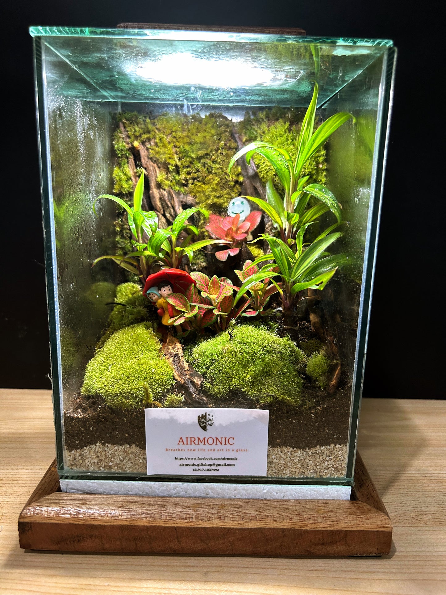 Marikit Terrarium: Sibling Love in a Miniature Forest