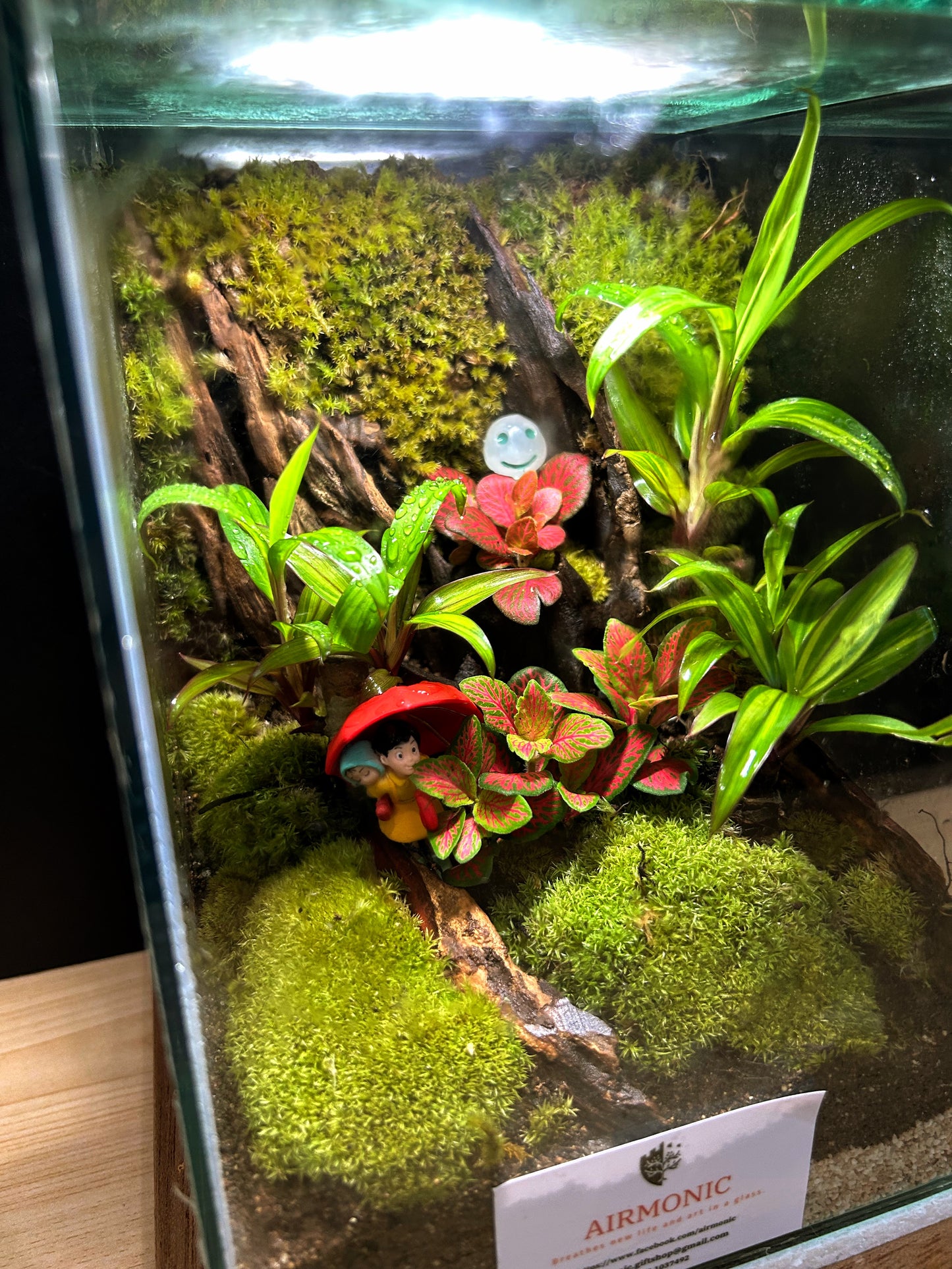 Marikit Terrarium: Sibling Love in a Miniature Forest