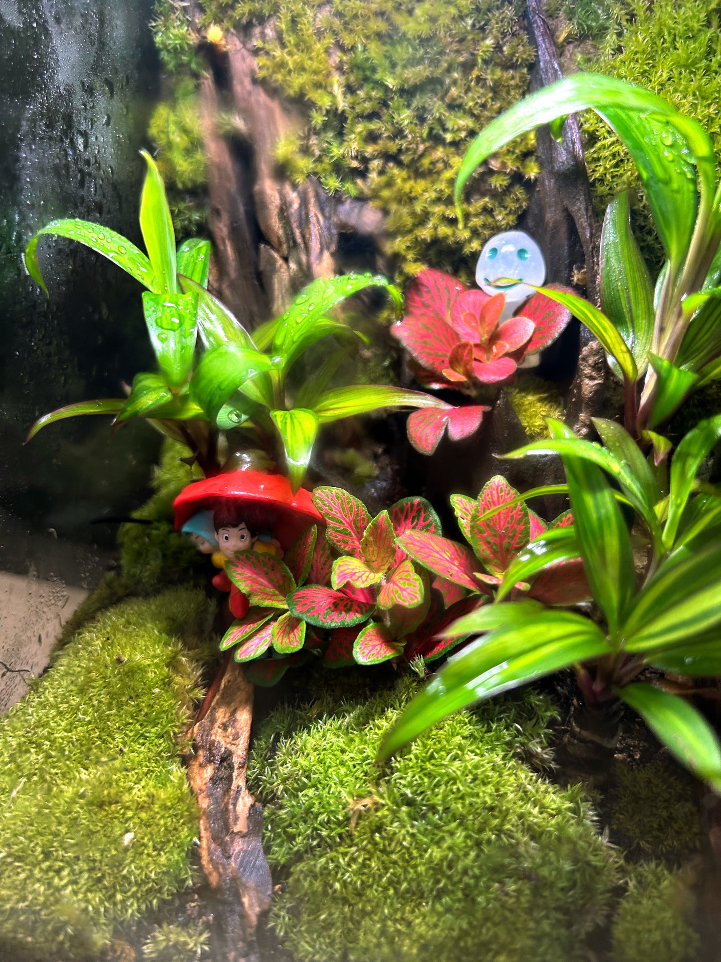 Marikit Terrarium: Sibling Love in a Miniature Forest