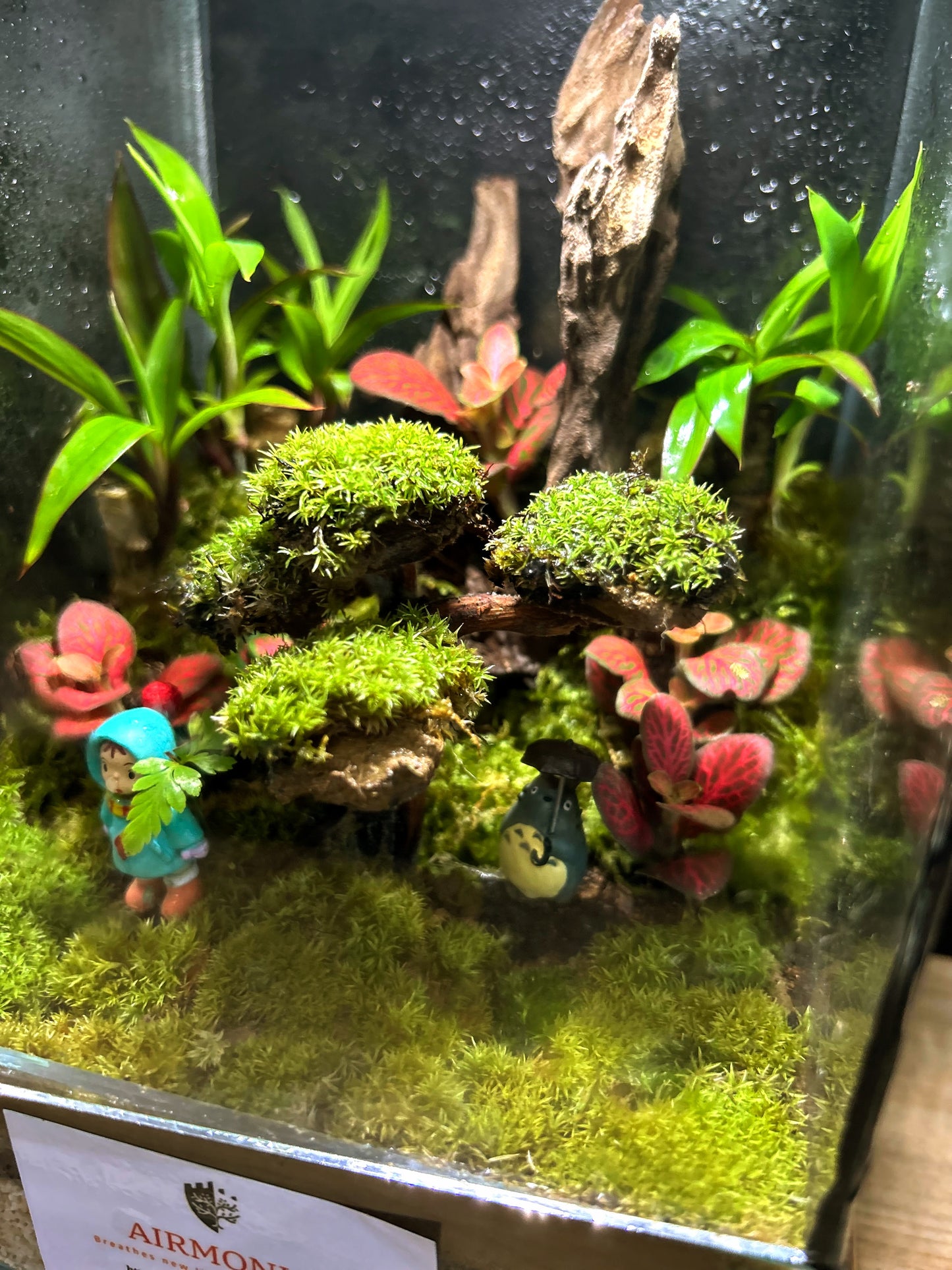 Marikit Terrarium: Friendship in a Miniature Forest
