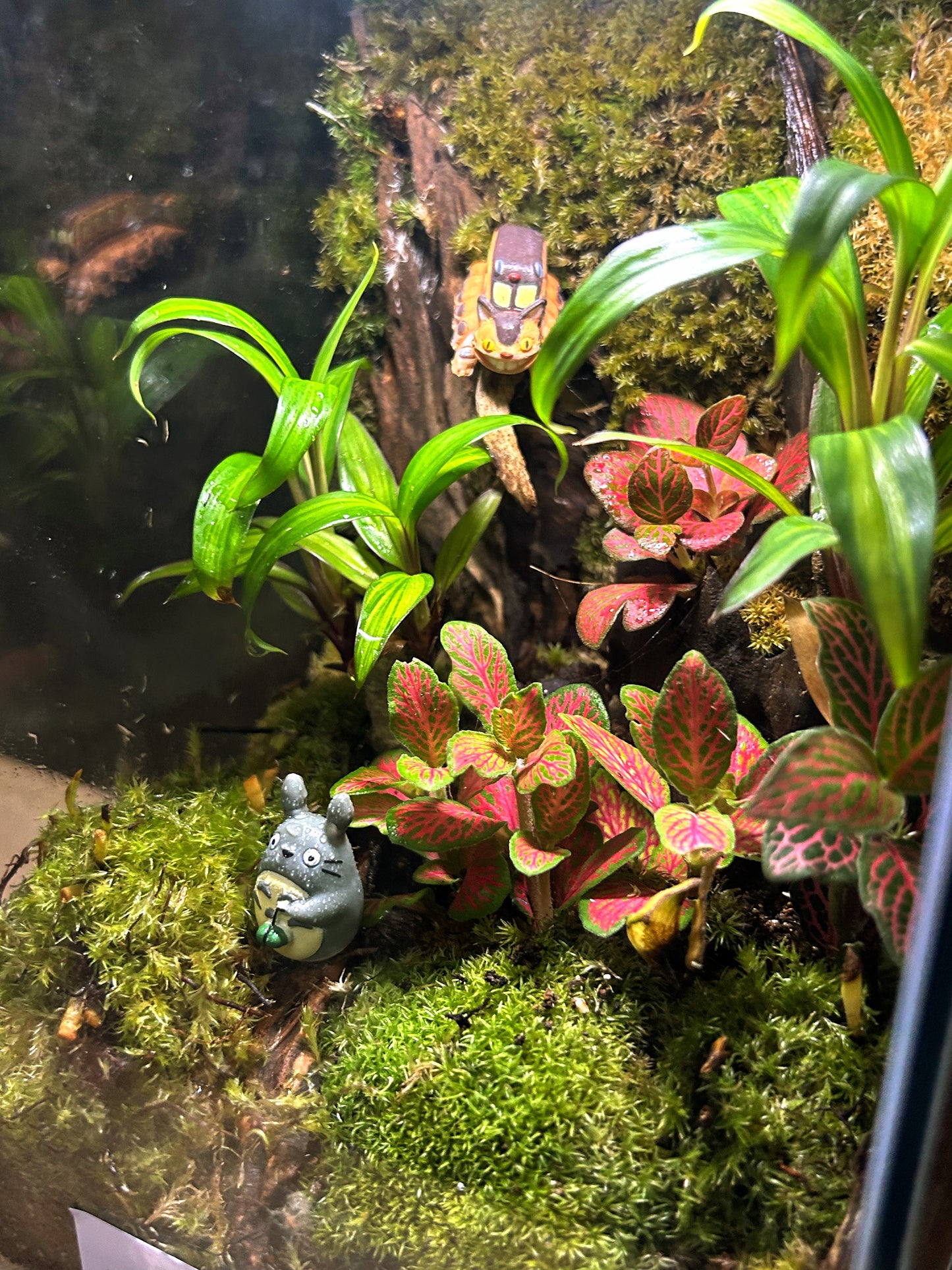 Marikit Terrarium: Enchanted Totoro & CatBus Terrarium Adventure