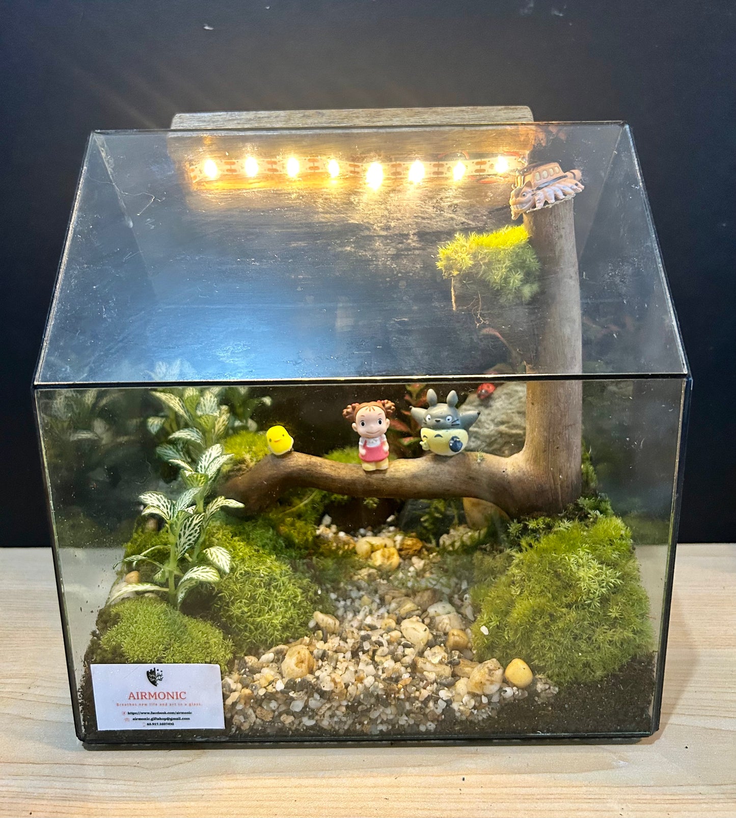 Custom Glass House Terrarium with Rechargeable LED Light