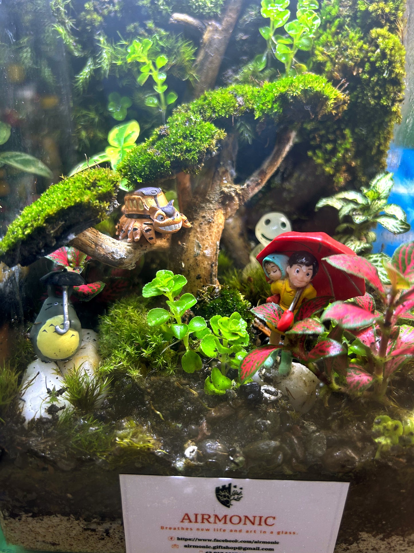 Magical Ghibli-Inspired Marikit Terrarium: Totoro, Cat Bus, and Kodama Spirits