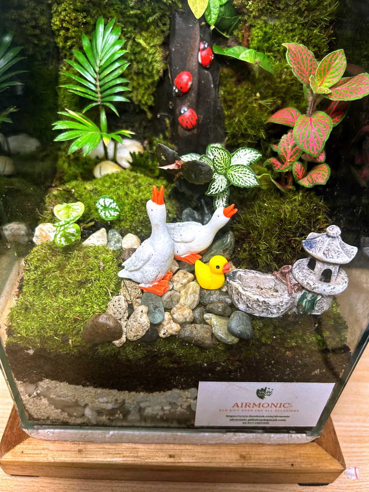 Marikit Terrarium: Quac-tastic Family