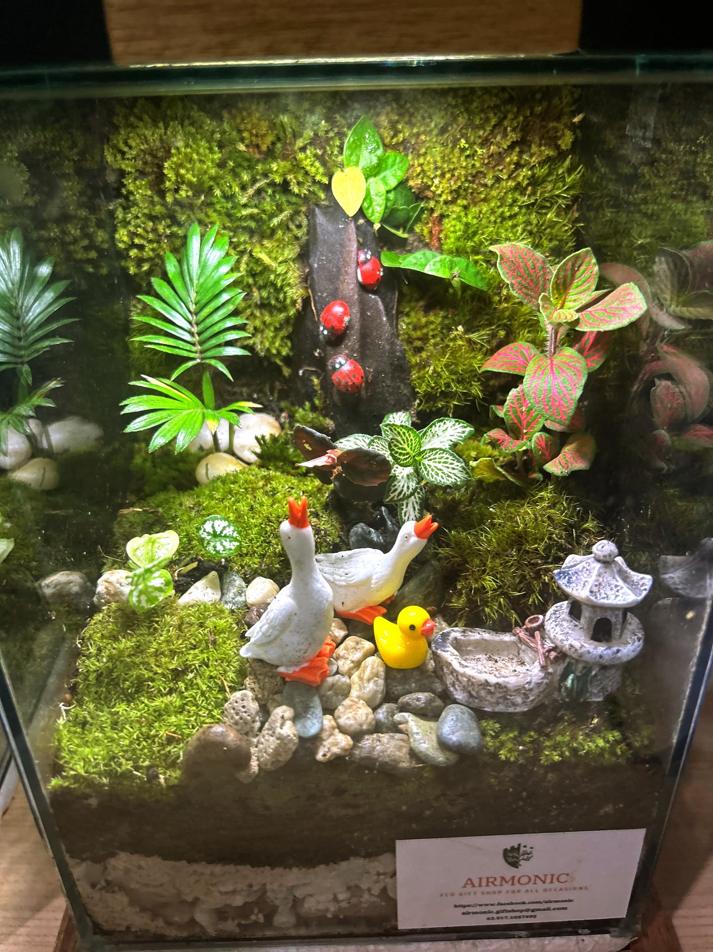 Marikit Terrarium: Quac-tastic Family