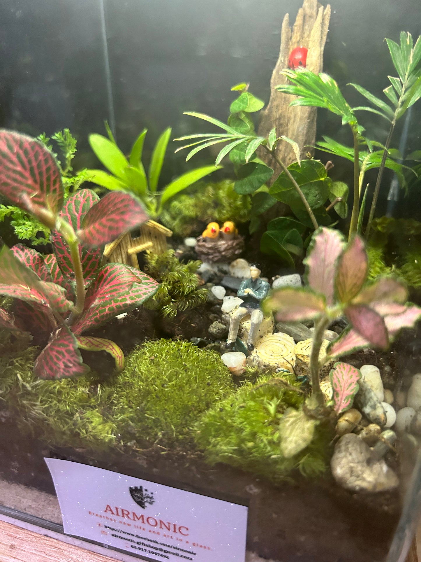 Marikit Terrarium: Tranquil Nature Retreat