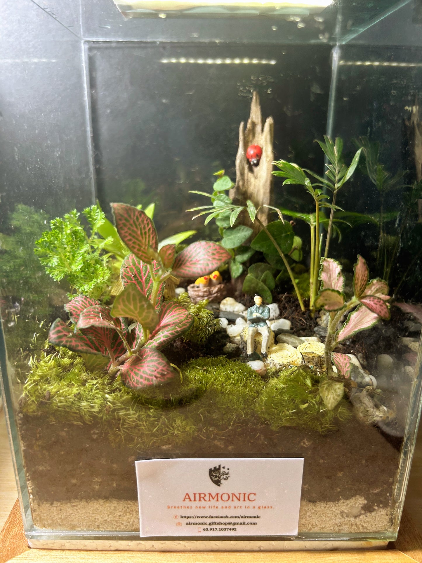 Marikit Terrarium: Tranquil Nature Retreat