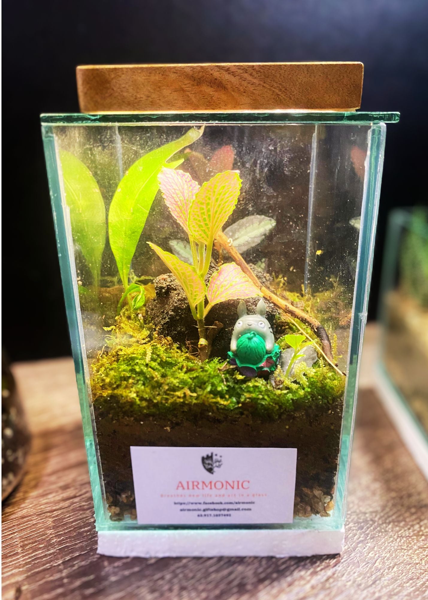 Watermelon Totoro Terrarium