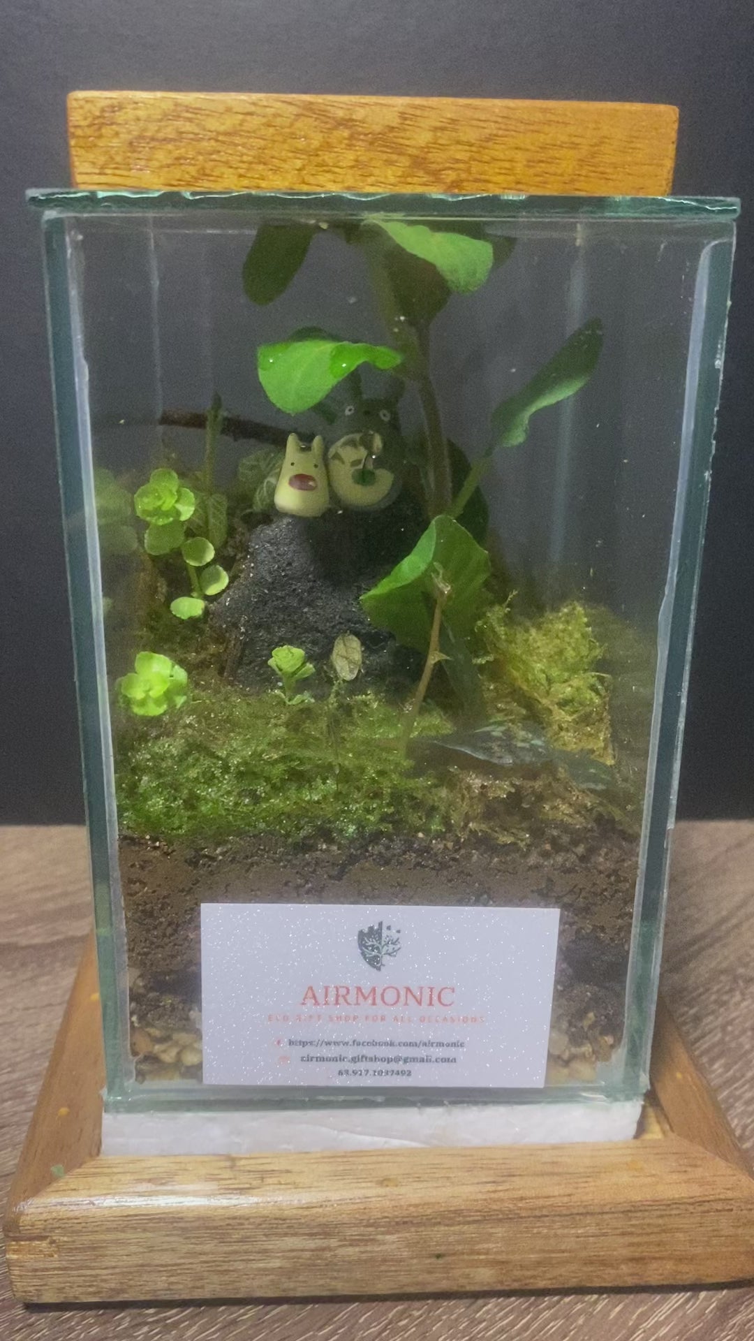 It has multifunctional cover with a wooden handle on top doubles as a LED light source, with three brightness modes controlled by a touch switch. The rechargeable battery lasts up to 4-10 hours.