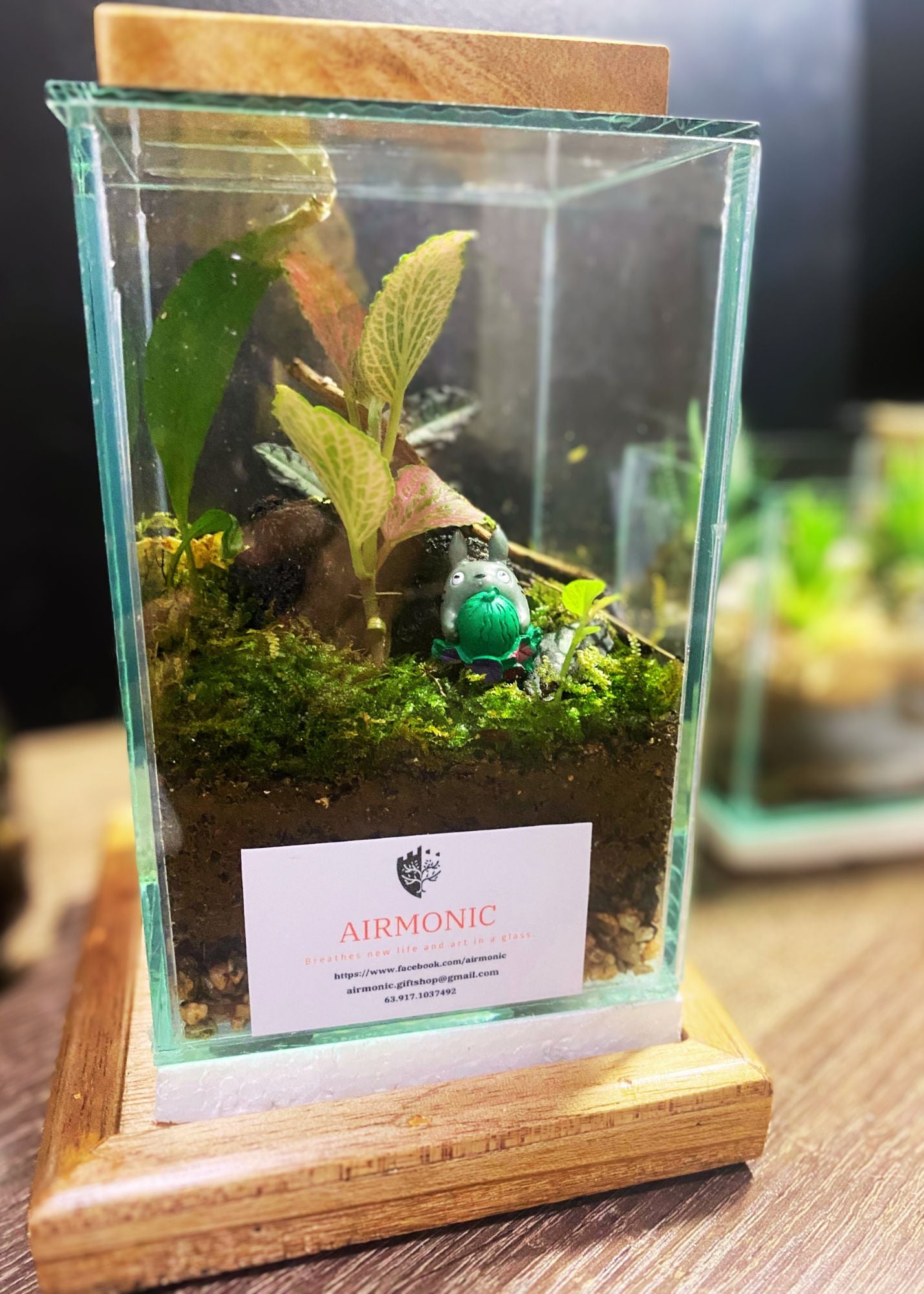 Watermelon Totoro Terrarium
