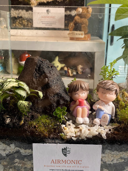 Tara Kape Tayo Closed Terrarium