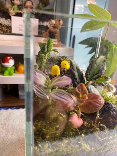 The Tweetheart Terrarium