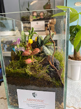 The Tweetheart Terrarium