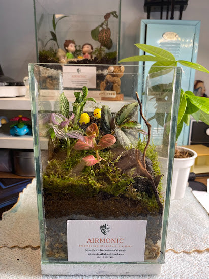 The Tweetheart Terrarium