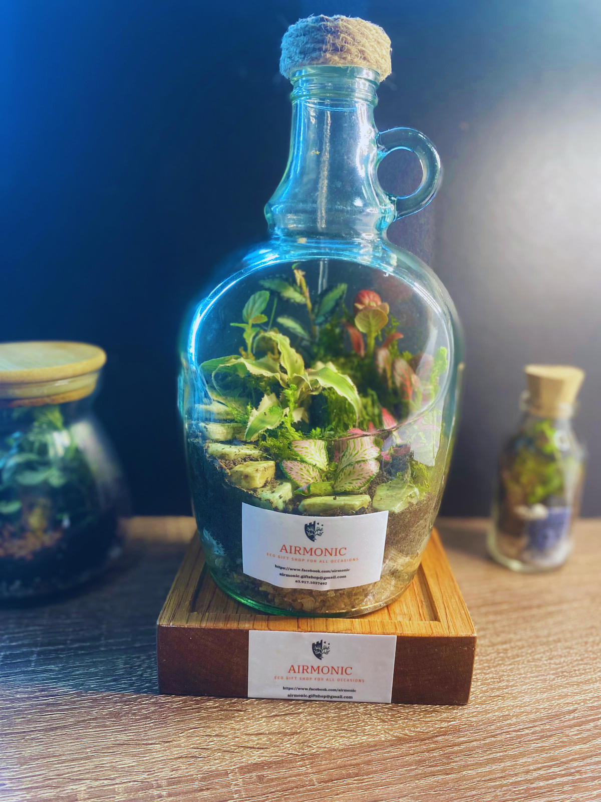 Tapayan Terrarium