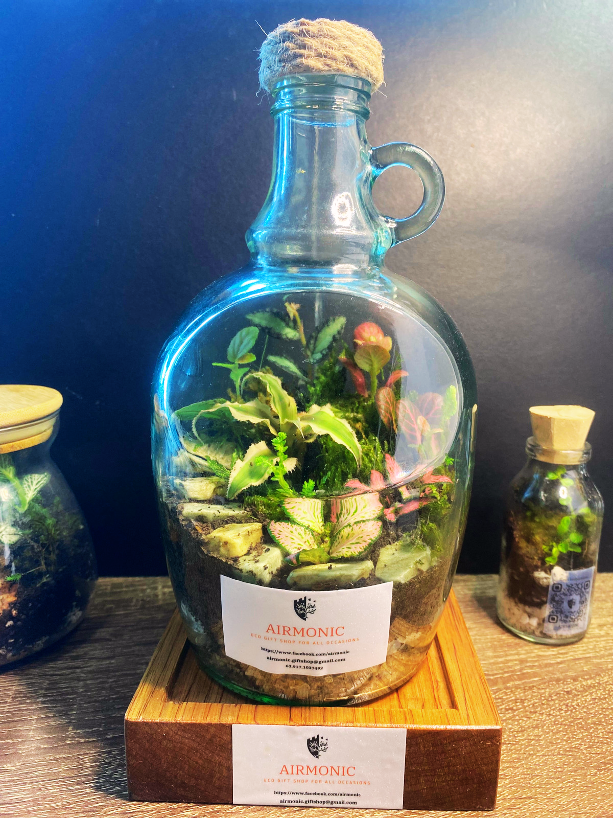 Tapayan Terrarium