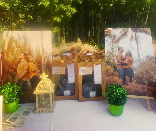 Why Are Couples Choosing Terrariums as Wedding Souvenirs?