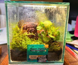 Airmonic Giftshop Terrarium for Events