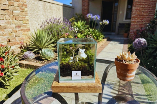 You're Placing Your Terrarium Wrong. Here's the Right Spot