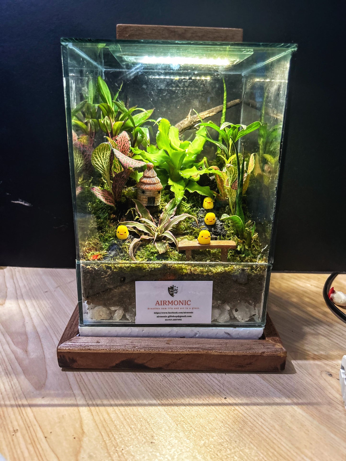 Marikit Harmony Tearrarium with 4 Chicks