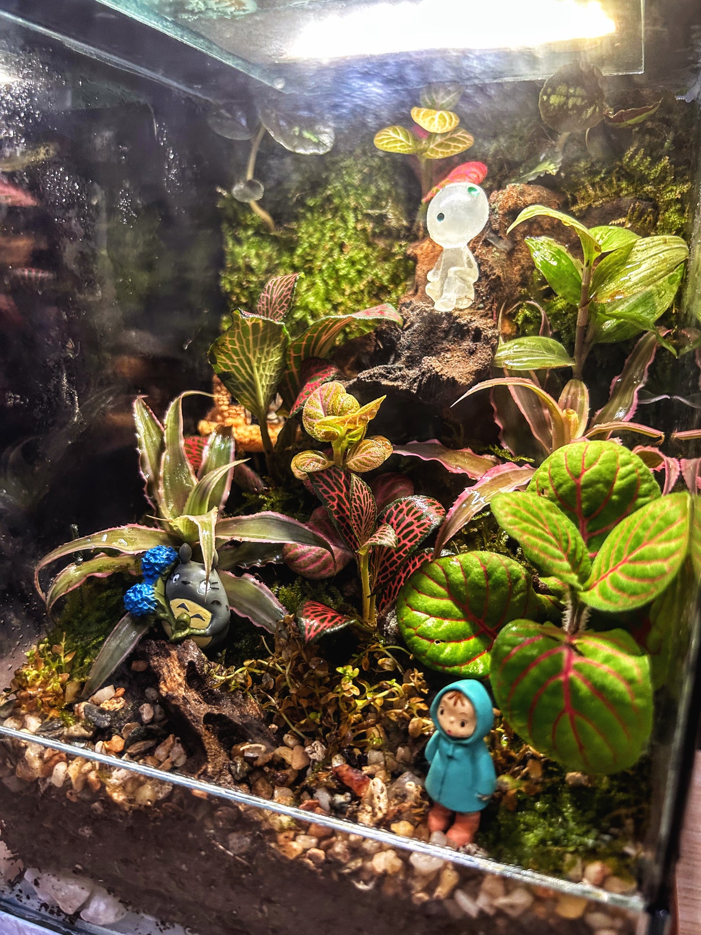 Marikit Terrarium with Kodama