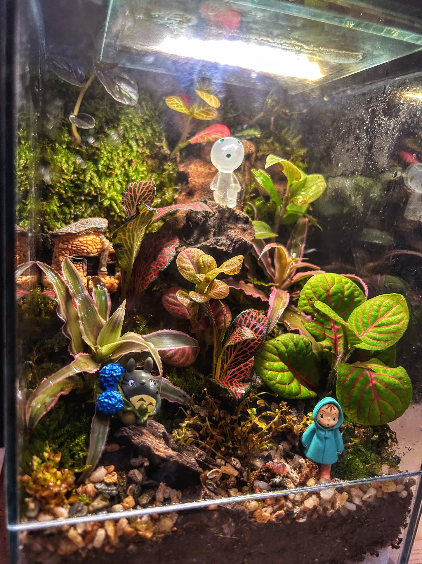 Marikit Terrarium with Kodama