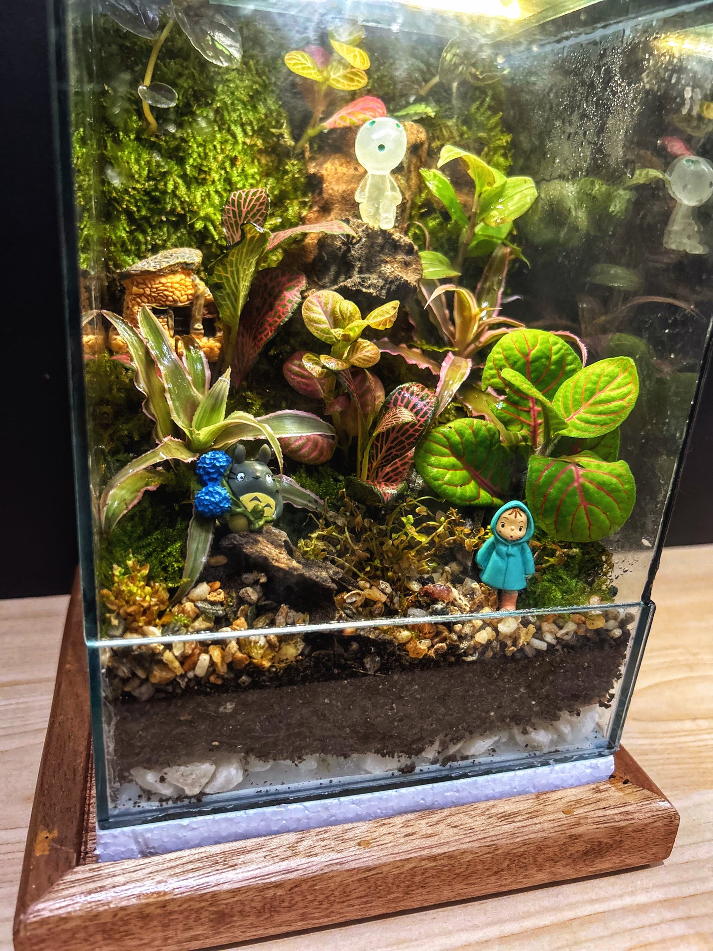 Marikit Terrarium with Kodama