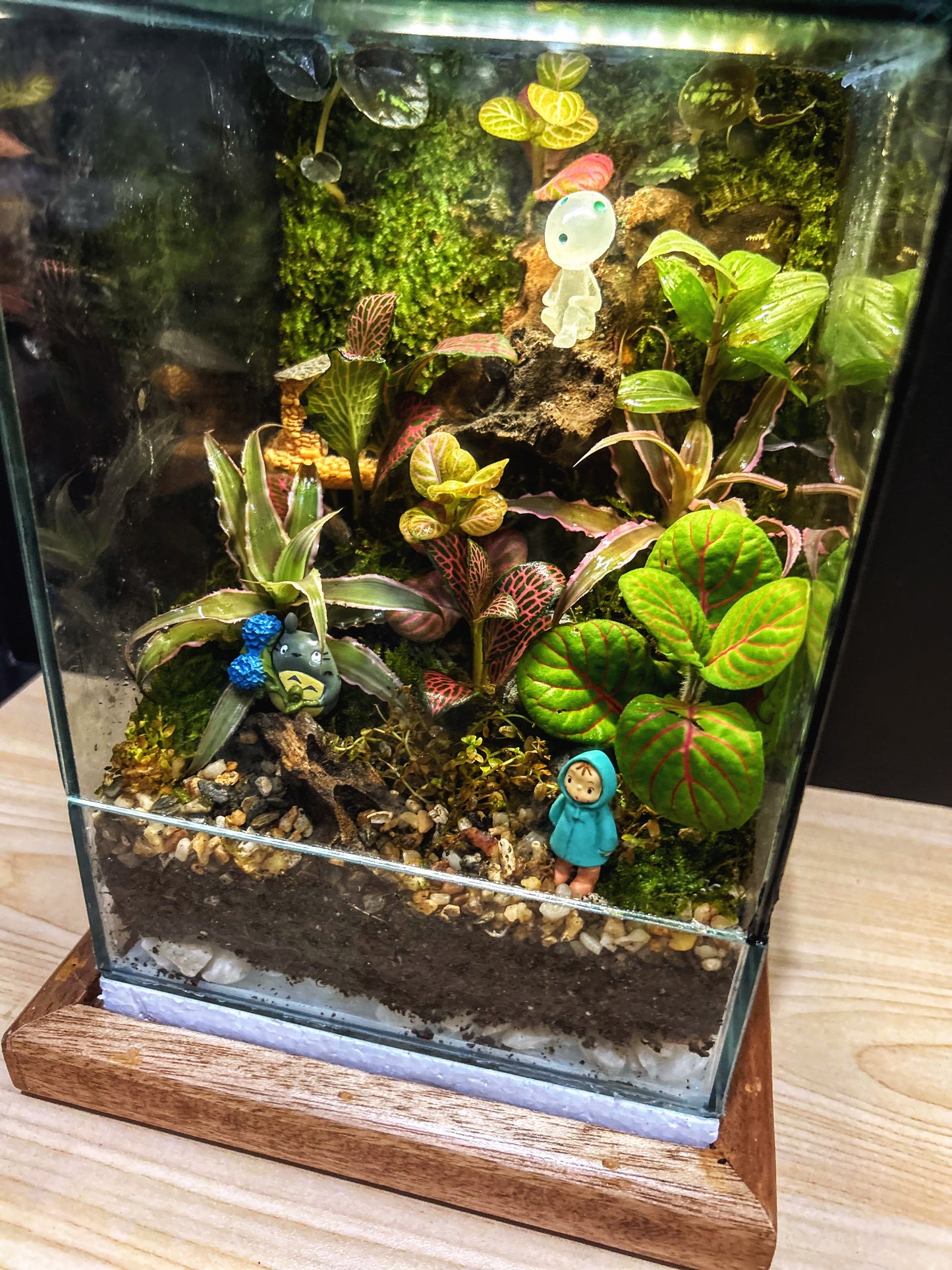 Marikit Terrarium with Kodama