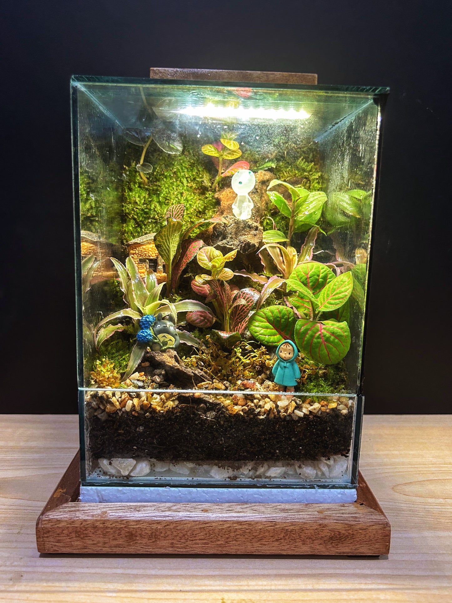 Marikit Terrarium with Kodama