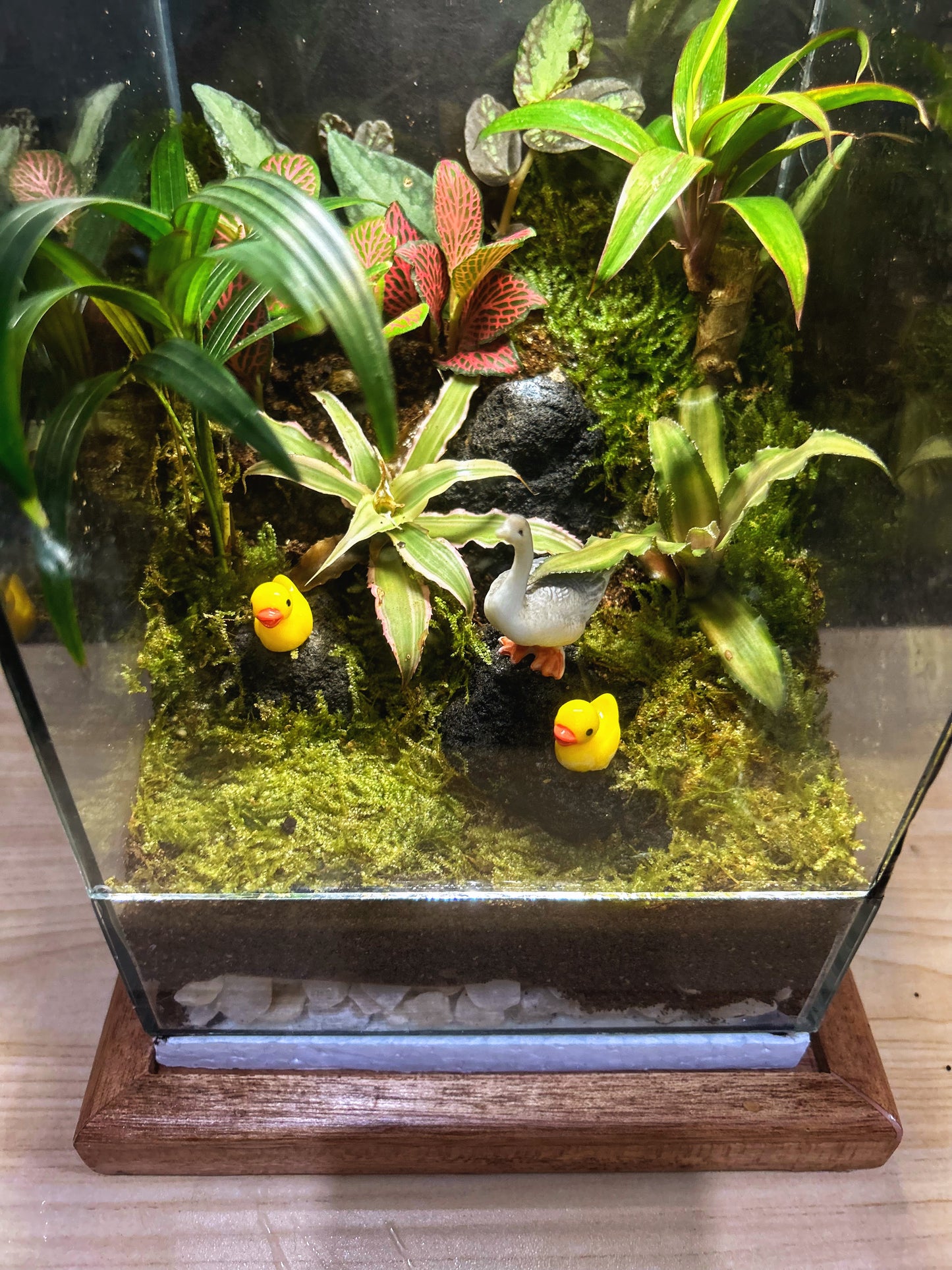 Marikit Terrarium with Mother Goose and Ducklings