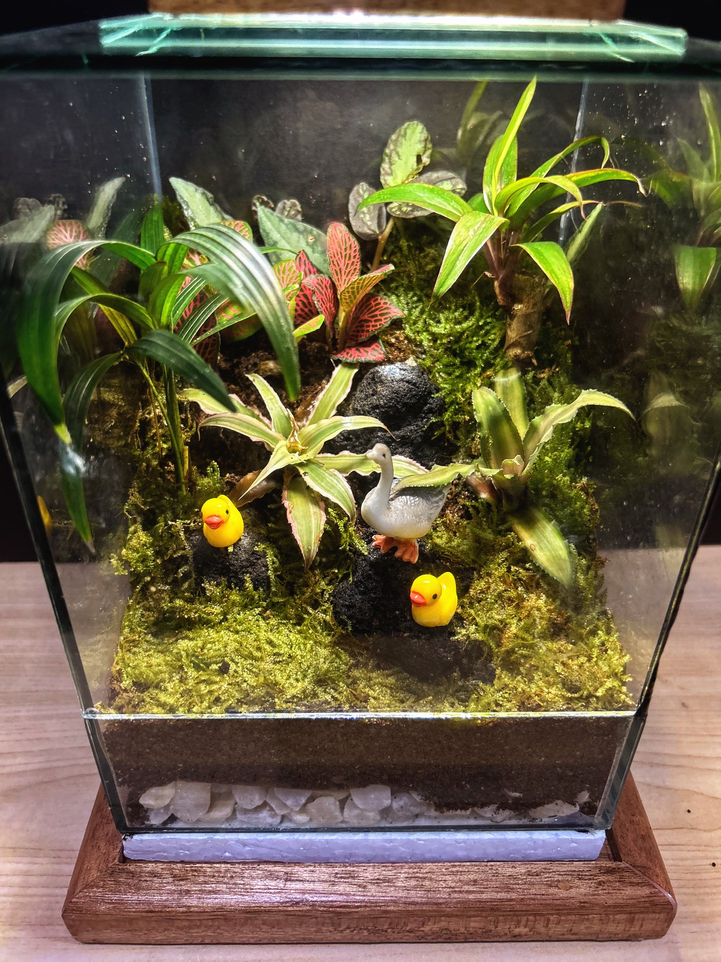 Marikit Terrarium with Mother Goose and Ducklings