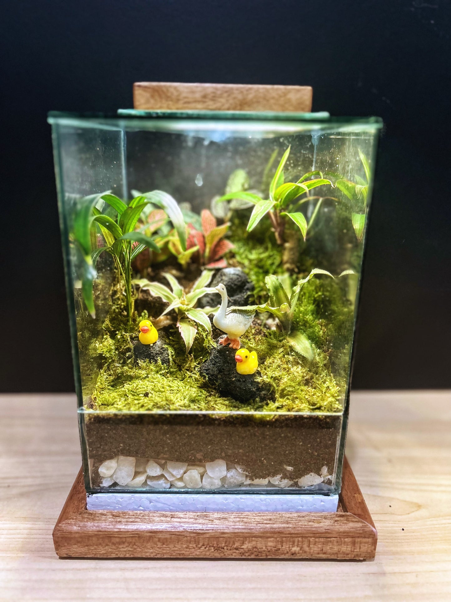 Marikit Terrarium with Mother Goose and Ducklings