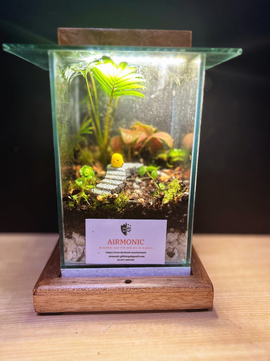 Airmonic Terrarium Mini Haba with chick on a Staircase