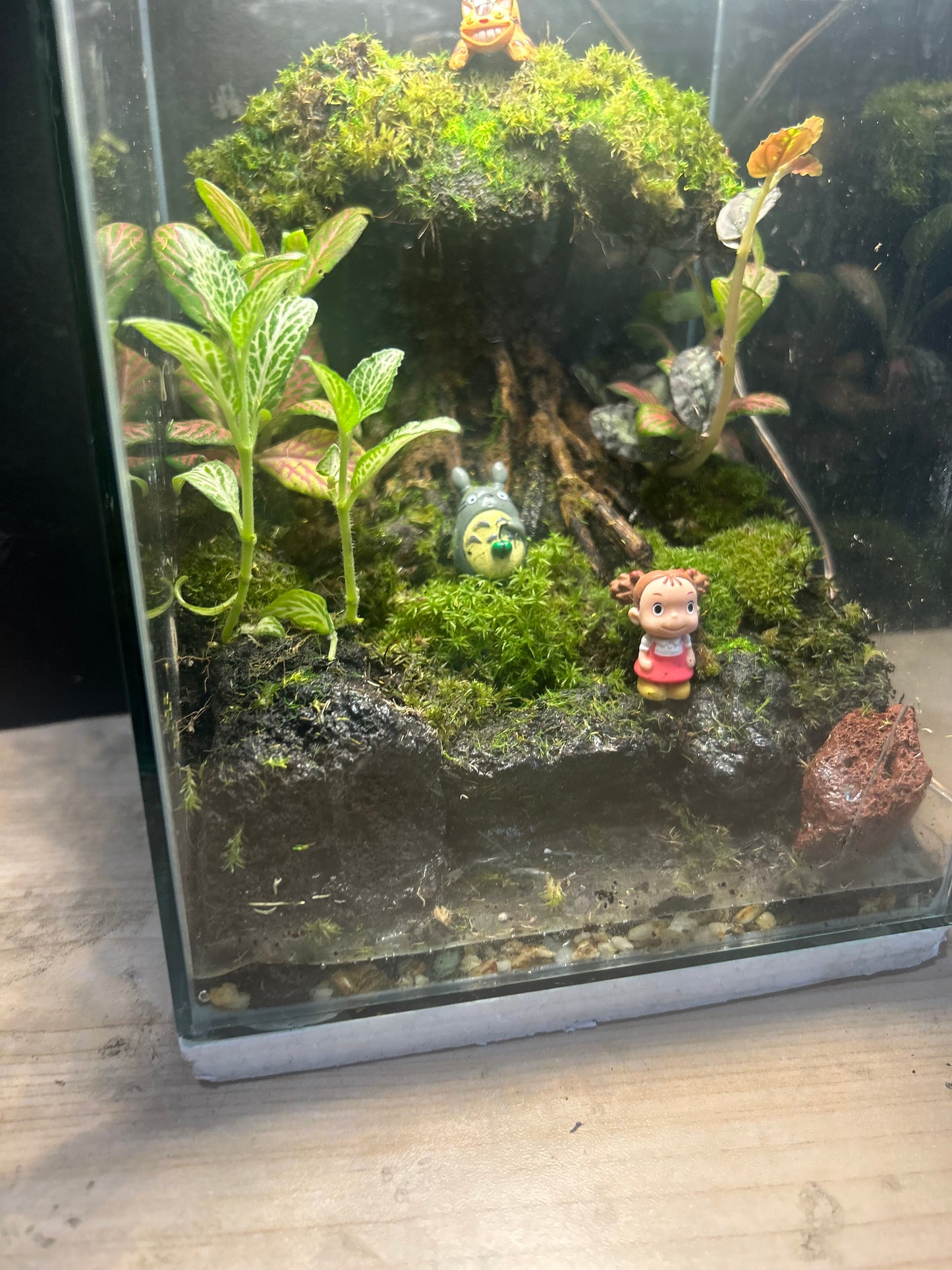 Whispering Ghibli Enchanted Terrarium