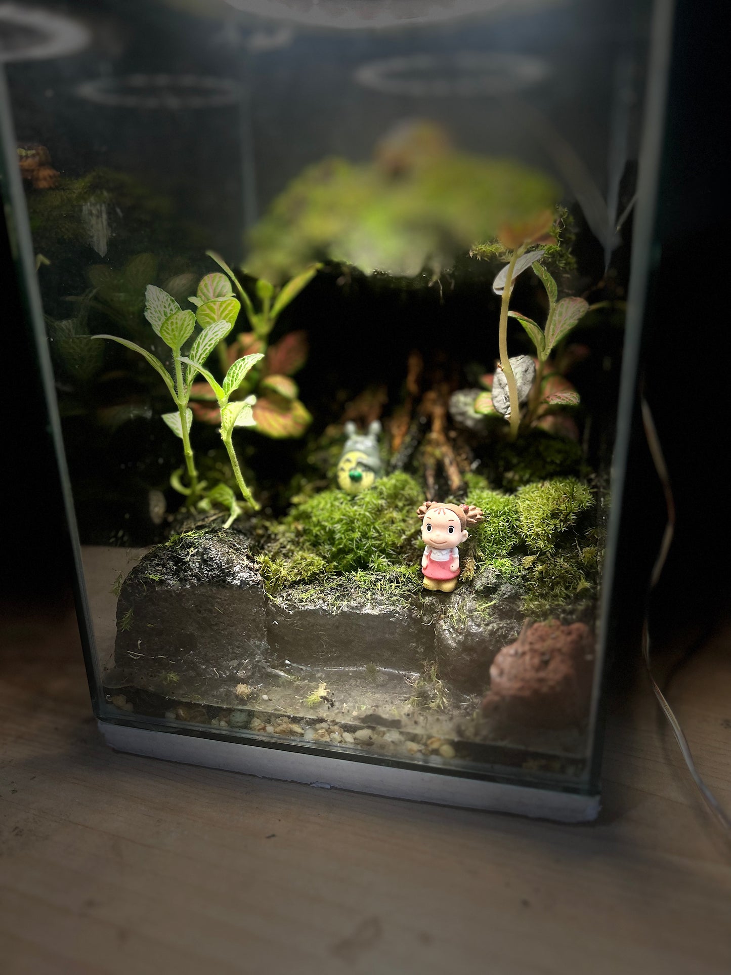 Whispering Ghibli Enchanted Terrarium