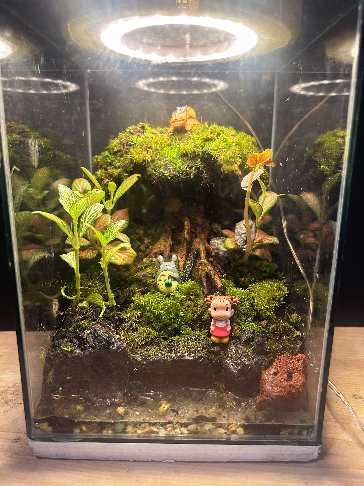 Whispering Ghibli Enchanted Terrarium