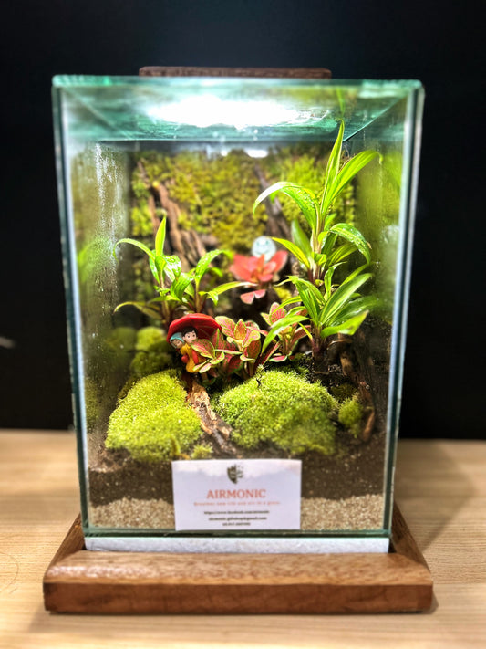 Marikit Terrarium: Sibling Love in a Miniature Forest