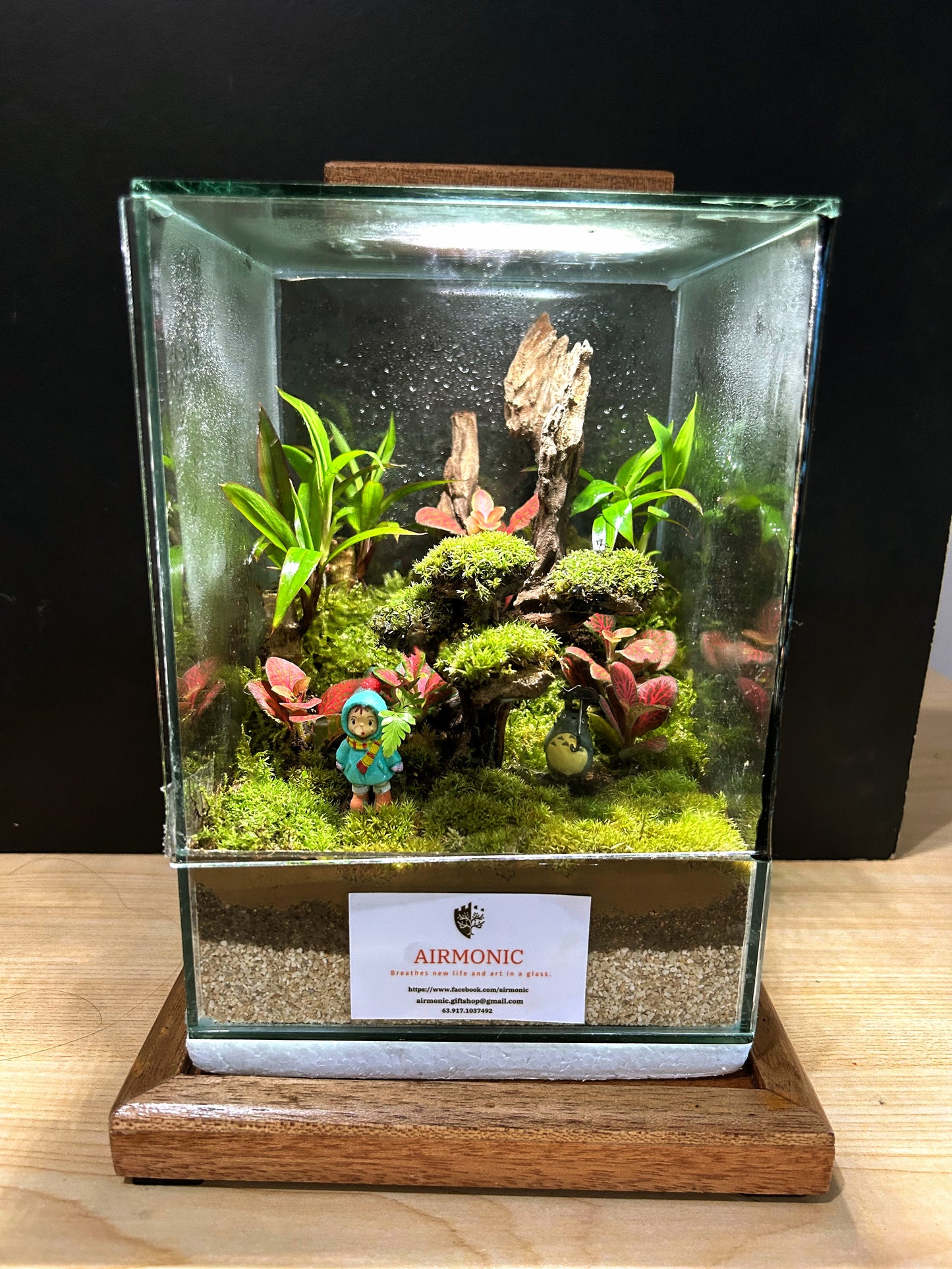 Marikit Terrarium: Friendship in a Miniature Forest