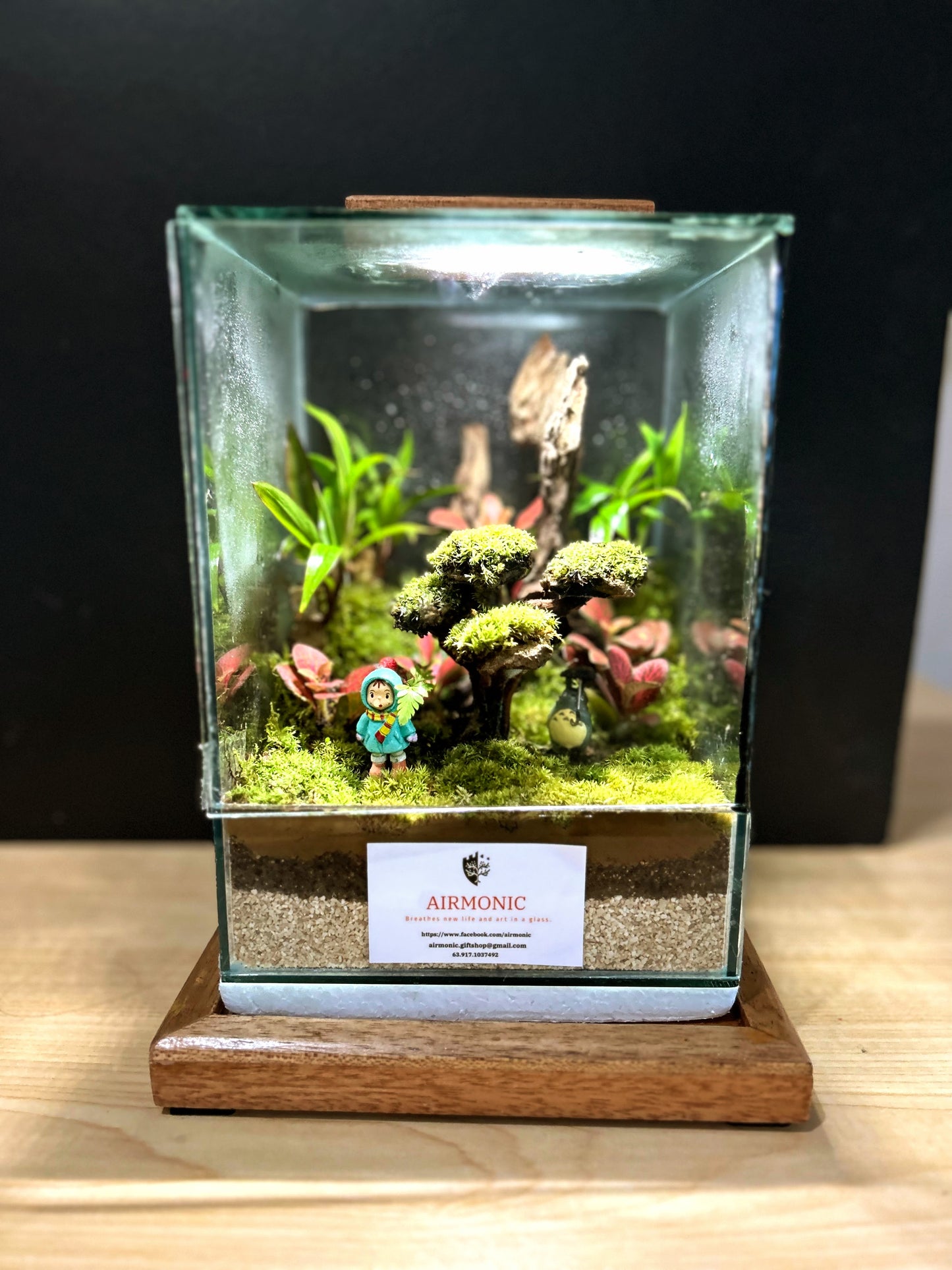 Marikit Terrarium: Friendship in a Miniature Forest