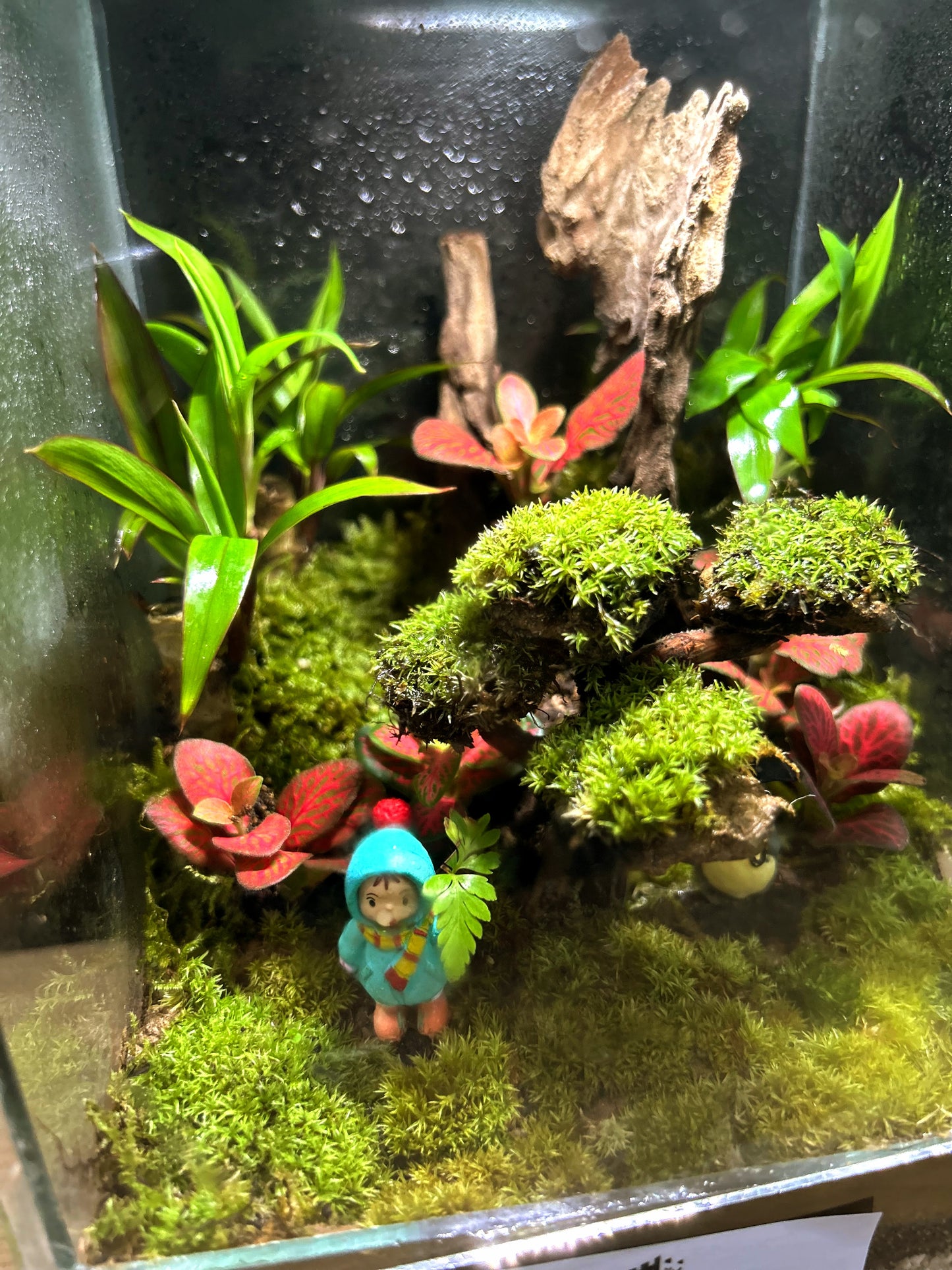 Marikit Terrarium: Friendship in a Miniature Forest