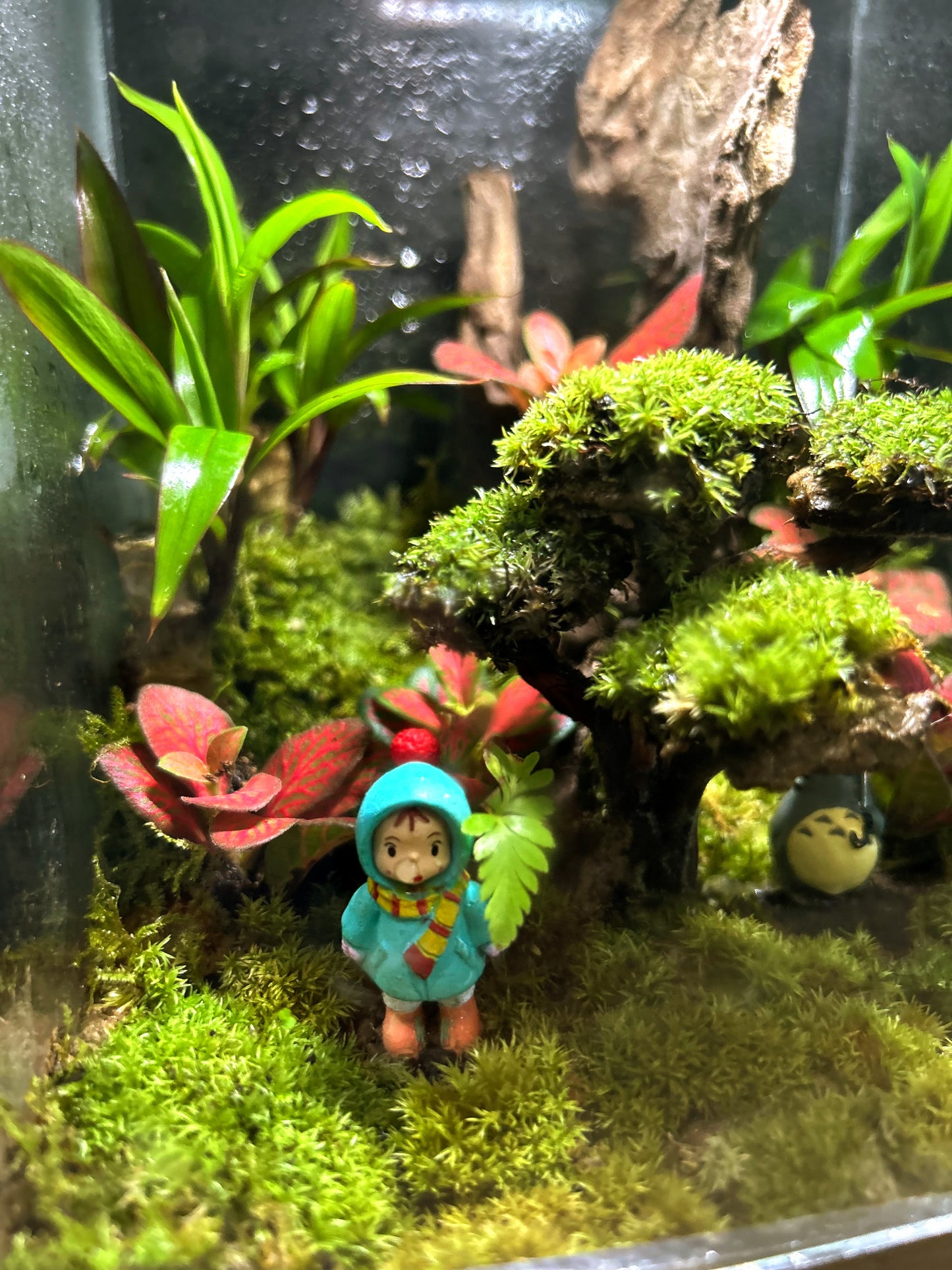 Marikit Terrarium: Friendship in a Miniature Forest