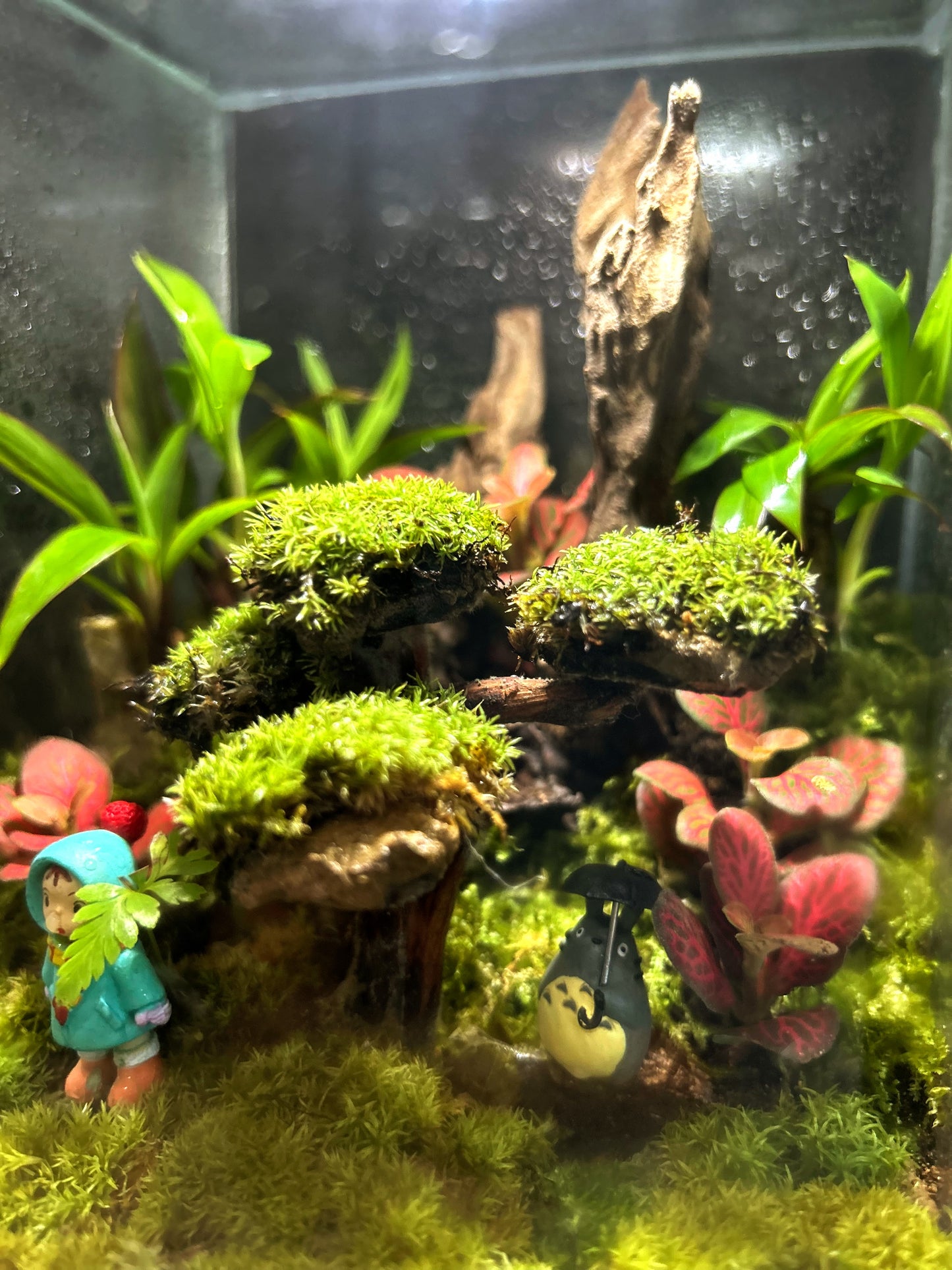 Marikit Terrarium: Friendship in a Miniature Forest