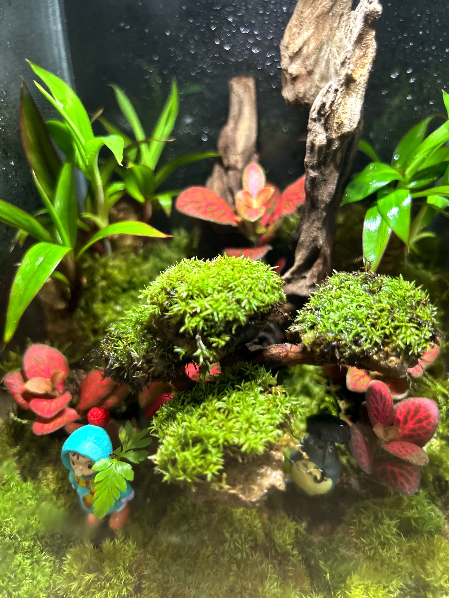 Marikit Terrarium: Friendship in a Miniature Forest