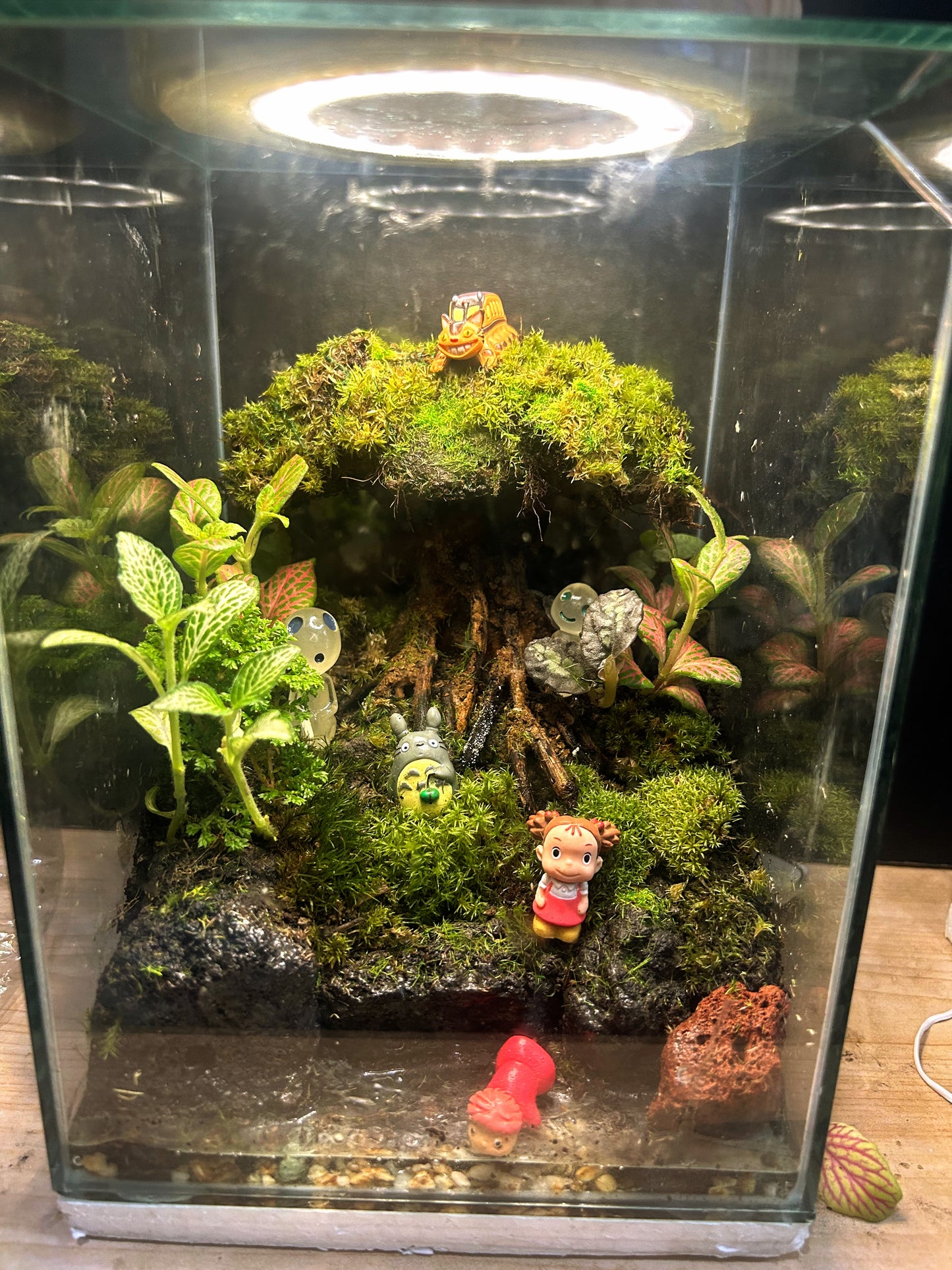 Whispering Ghibli Enchanted Terrarium