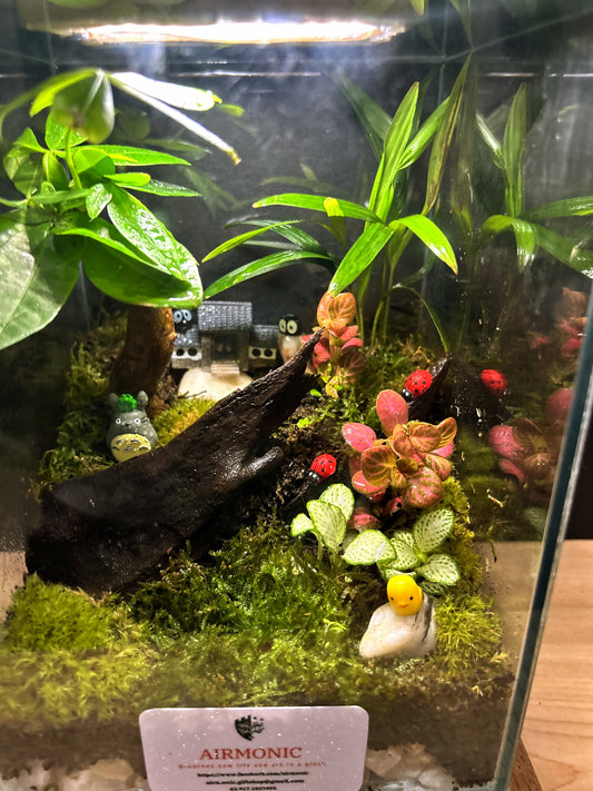 Marikit Terrarium: Totoro's Forest Retreat