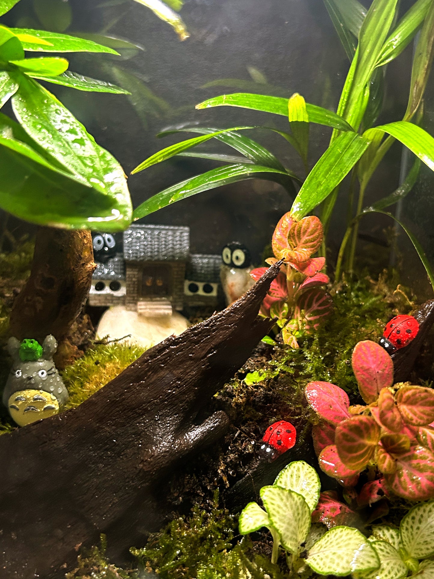 Marikit Terrarium: Totoro's Forest Retreat